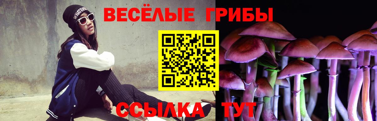 Галлюциногенные грибы мицелий Киржач