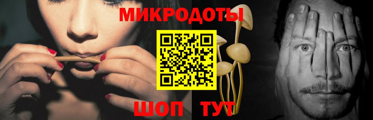 Киржач  Псилоцибиновые грибы прущие грибы  Вход с VPN 